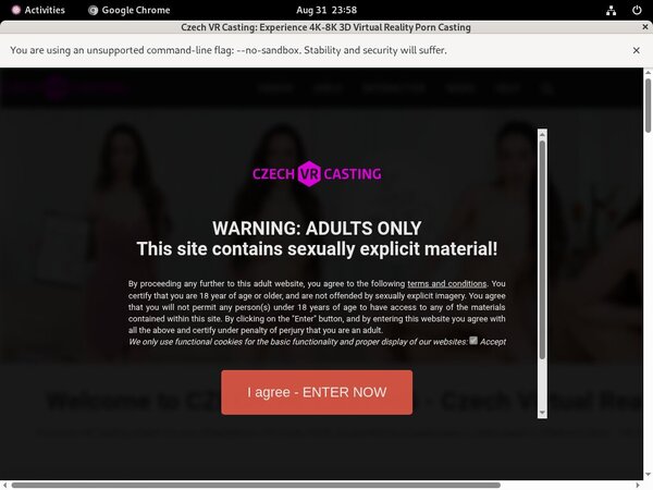 Accounts To Czechvrcasting.com