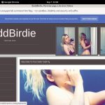 BaddBirdie Passwords Blog