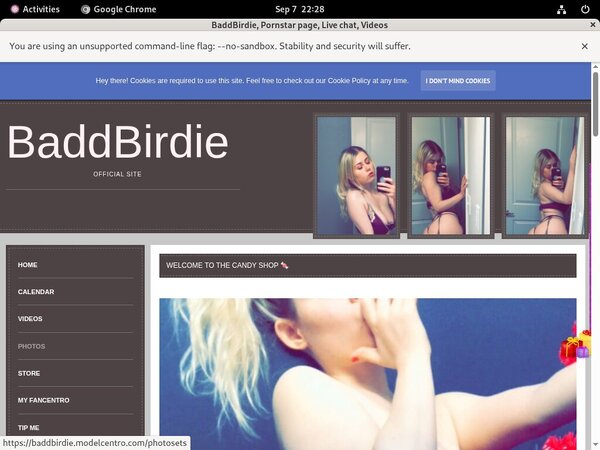 Baddbirdie.modelcentro.com Link Discount