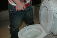 Boys Pissing With Free Trial s0