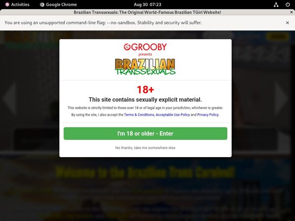 [Image: Brazilian-Transsexuals-Picture.jpg]