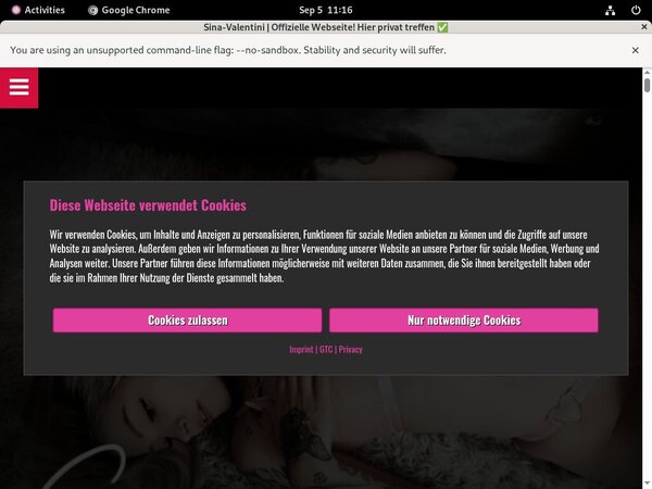 Free Passwords Sina Valentini