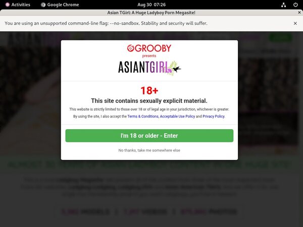 Full Ladyboyladyboy Movies