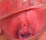 Gape My Pussy Idealgasm