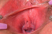 Gapemypussy.com Crear Cuenta s0