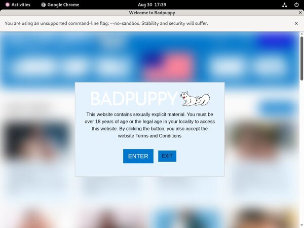 Get Bad Puppy Password