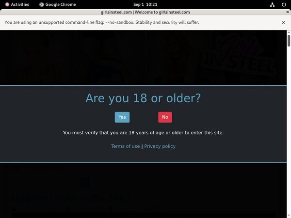 Girlsinsteel.com Log In