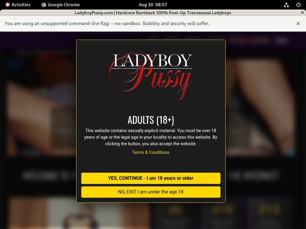 Hd Ladyboy Pussy Free