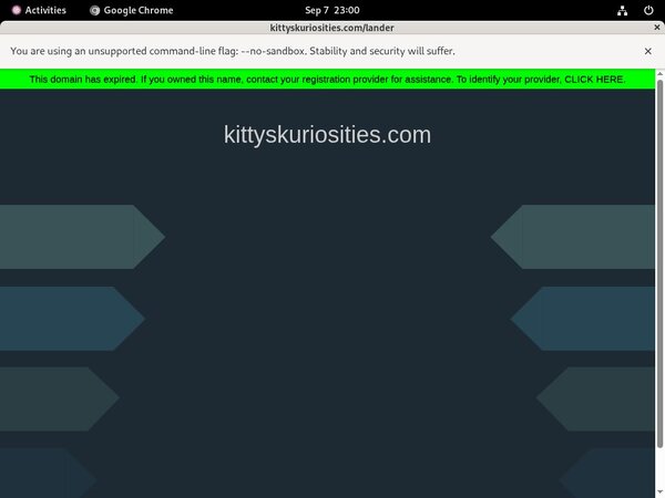 Kitty's Kuriosities Porn Pictures