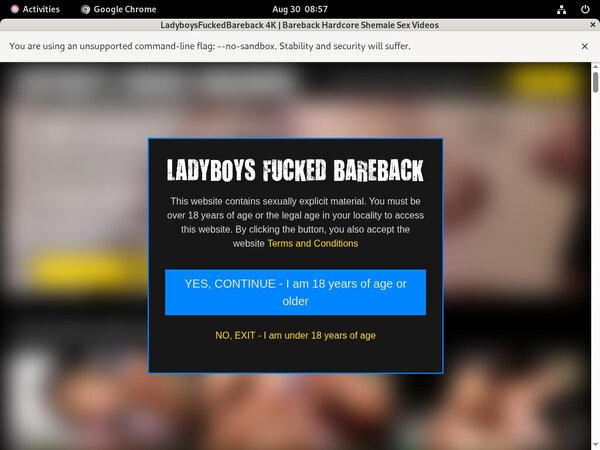 Ladyboys Fucked Bareback Paswords