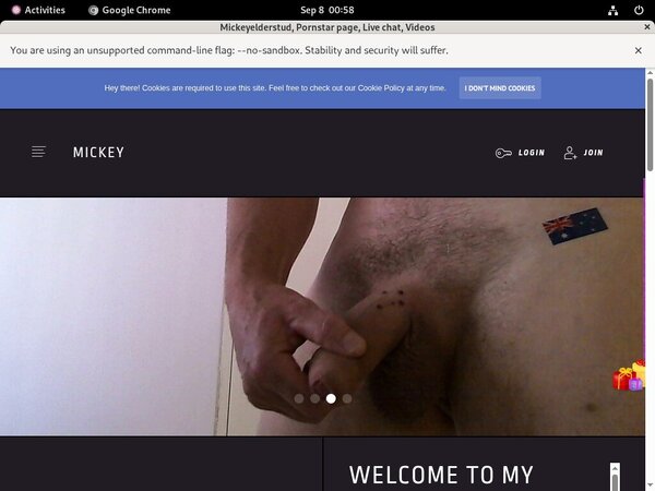 Mickeyelderstud Account And Password