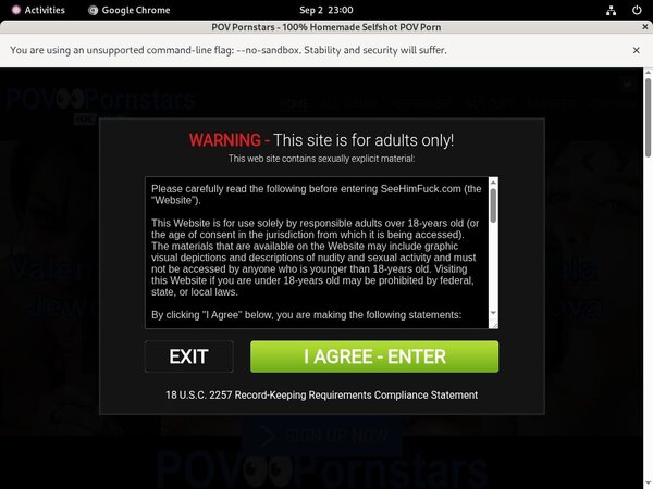 POV Pornstars Free Logins