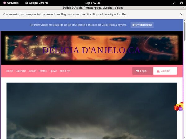 Password Free Deliciadanjelo.modelcentro.com
