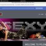 Pelonasquirterqueen.com Blogspot