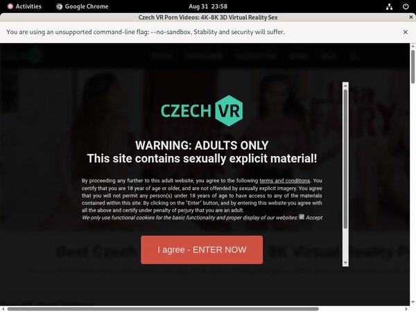 Premium Czechvr Passwords