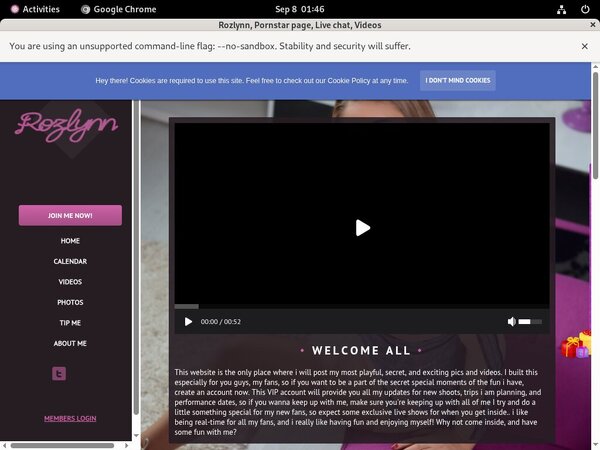 Rozlynn Account Passwords
