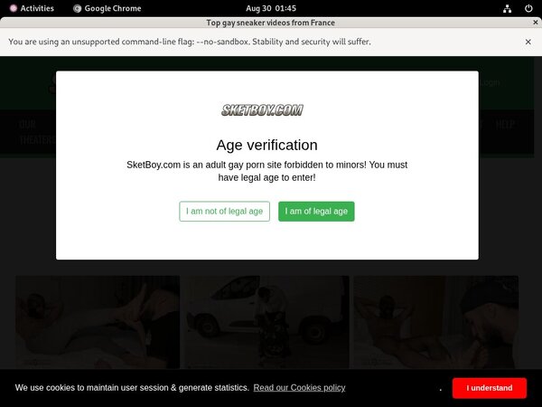 [Image: Sketboy-Network-Login.jpg]