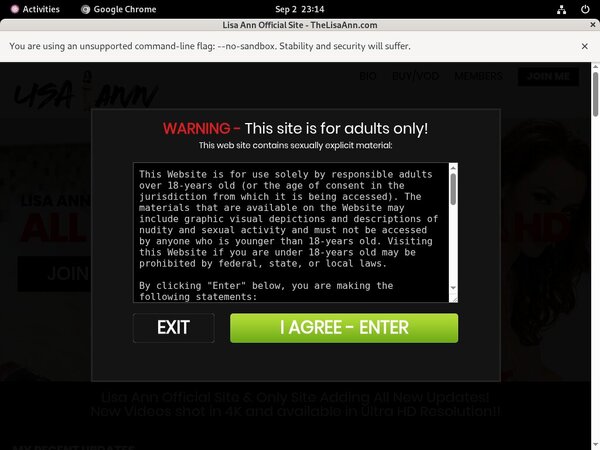 Thelisaann.com Password Premium
