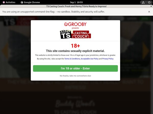 Ts-castingcouch.com Membership