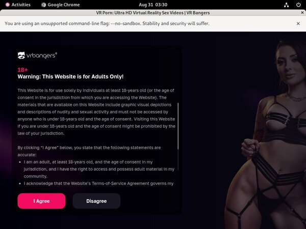 VR Bangers Xvideos