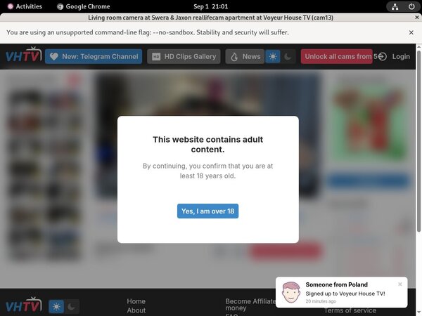 Voyeurhouse Daily Accounts