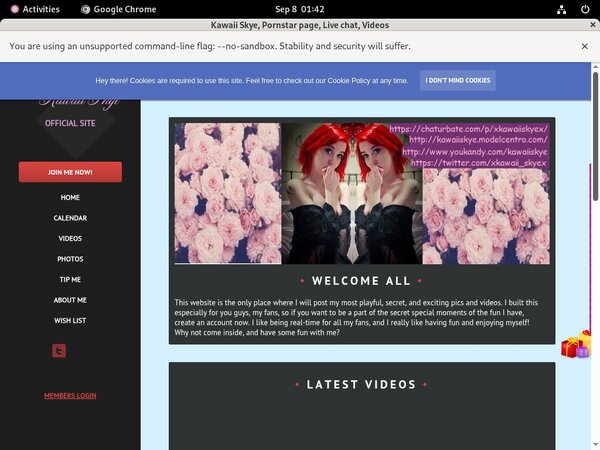 Kawaii Skyepassword Kawaii Skyepassword