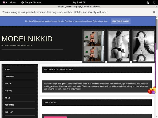 How To Access Modelnikki.modelcentro.com